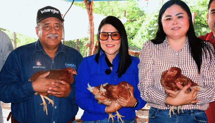 Presidenta municipal Yoneida Gámez Vázquez con participantes del programa de gallinas ponedoras en El Garabato, Choix